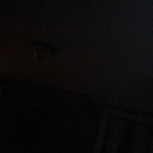 Meet your Posher, Willow